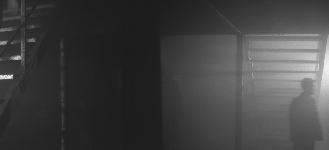 4 KAHN & NEEK, Fuchs2